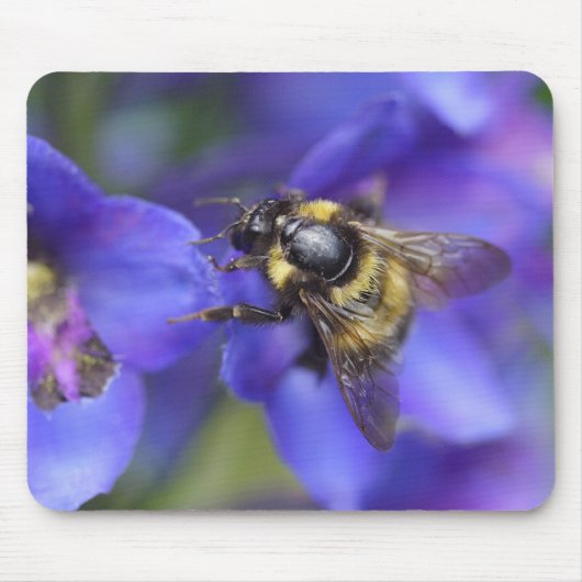 Bumblebee Close-up Muismat (Voorkant)