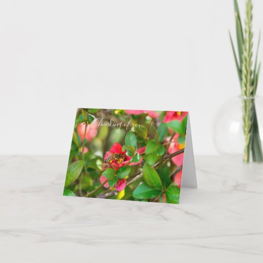 Bumblebee en azalea denken aan uw Kaart (Voorkant)