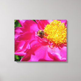 Bumblebee en Peony Canvas Afdruk