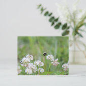 Bumblebee in het briefkaart van de klaver (Staand voorkant)