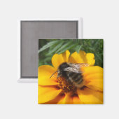 Bumblebee Magnet Magneet (Voorkant / Achterkant)