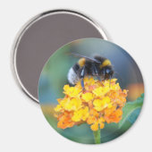 BumbleBee Magnet Magneet (Voorkant / Achterkant)