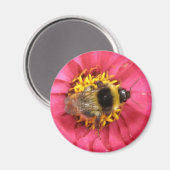 Bumblebee Magnet Magneet (Voorkant / Achterkant)