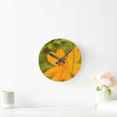 Bumblebee on a Sulfur Cosmos Ronde Klok (Huis)