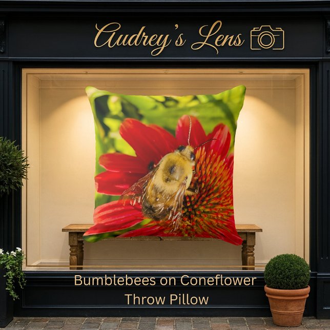 Bumblebee on Red Coneflower Kussen (Creator heeft geüpload)