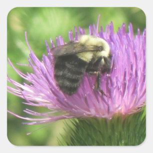 Bumblebee op de Thistle Sticker