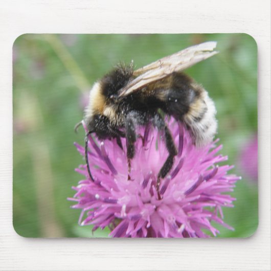 Bumblebee op een Thistle Mousepad Muismat (Voorkant)