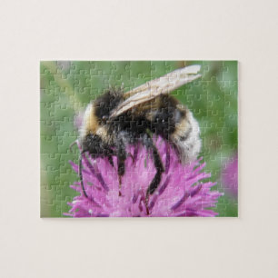 Bumblebee op een Thistle Puzzle Legpuzzel