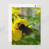 Bumblebee op Esperanza-ventilator Briefkaart (Voorkant / Achterkant)
