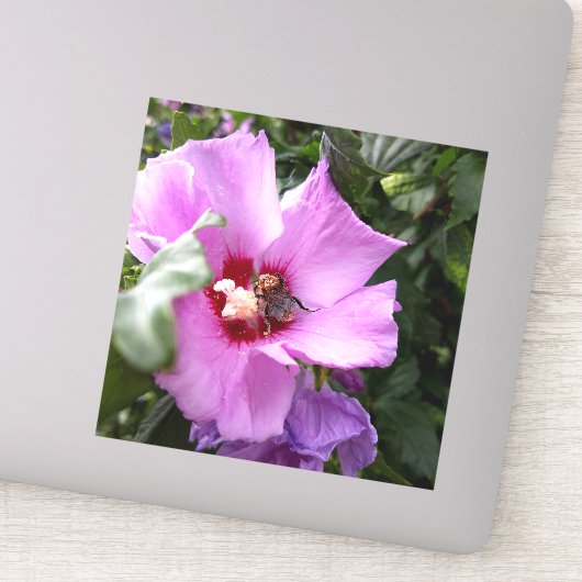 Bumblebee op Hibiscus Flower Sticker (Detail)