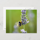 Bumblebee op Lavender Briefkaart (Voorkant / Achterkant)