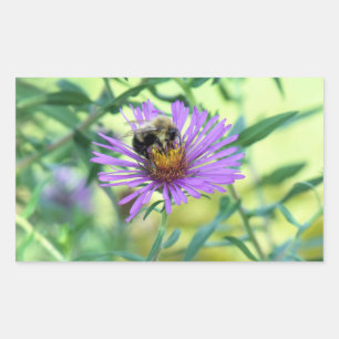 Bumblebee op Paarse Daisy Rechthoekige Sticker