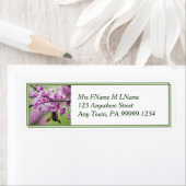 Bumblebee op Redbud Blossom Etiket (Insitu)