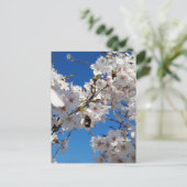 Bumblebee op wilde kersenbloei briefkaart (Staand voorkant)