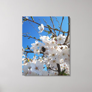 Bumblebee op wilde kersenbloei canvas afdruk