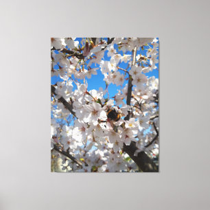 Bumblebee op wilde kersenbloei canvas afdruk