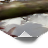 Bumblebee op wilde kersenbloei perfect poster (Hoek)