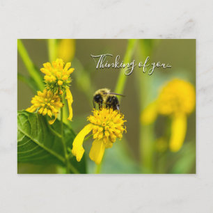 Bumblebee Penser À Vous Carte Postale
