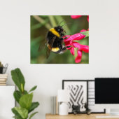 Bumblebee Poster (Thuiskantoor)