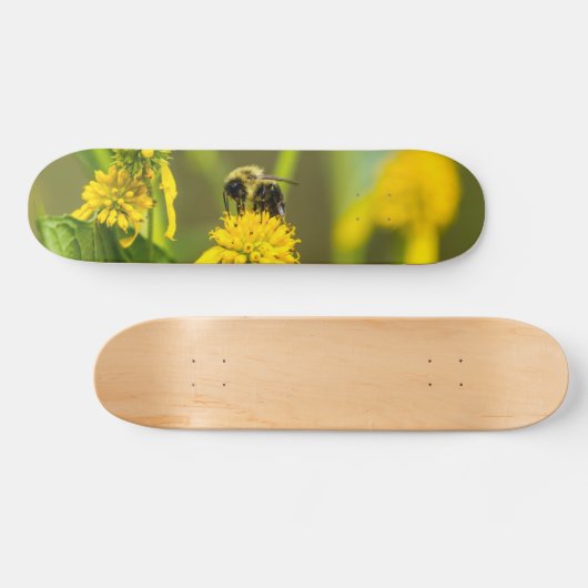 Bumblebee Skateboard (Horz)