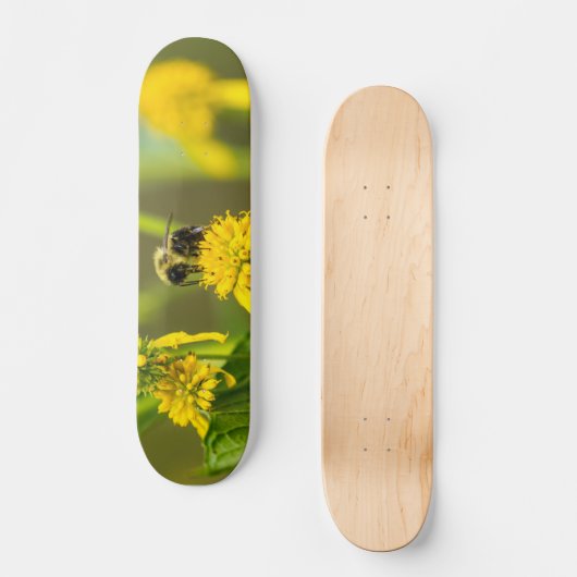 Bumblebee Skateboard (Recto)