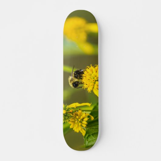 Bumblebee Skateboard (Devant)