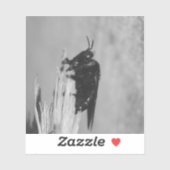 Bumblebee Sticker (Vel)