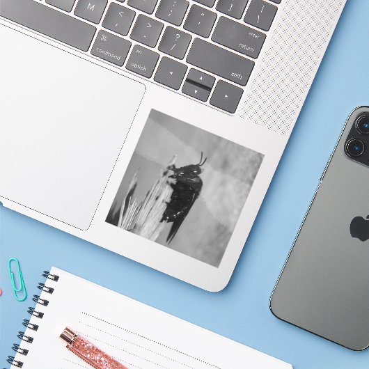 Bumblebee Sticker (Laptop met iPhone)