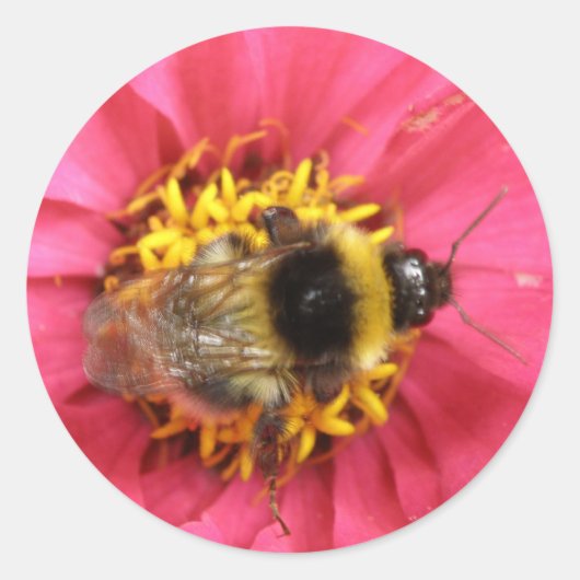 Bumblebee Sticker (Voorkant)