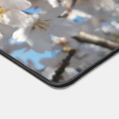 Bumblebee sur la fleur de cerisier sauvage (Coin)