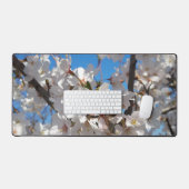 Bumblebee sur la fleur de cerisier sauvage (Clavier et souris)