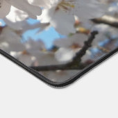 Bumblebee sur la fleur de cerisier sauvage (Coin)