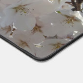 Bumblebee sur la fleur de cerisier sauvage (Coin)