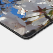 Bumblebee sur la fleur de cerisier sauvage (Coin)