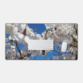 Bumblebee sur la fleur de cerisier sauvage (Clavier et souris)