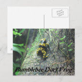 Bumblebeekkikker # 3 briefkaart (Voorkant / Achterkant)