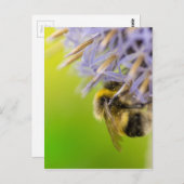 Bumblebei op een bloem briefkaart (Voorkant / Achterkant)
