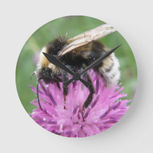 Bumblebei op een hevige wandklok ronde klok