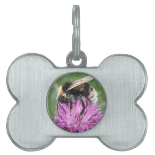 Bumblebei op een Thistle Pet Tag Huisdieren Naamplaatje