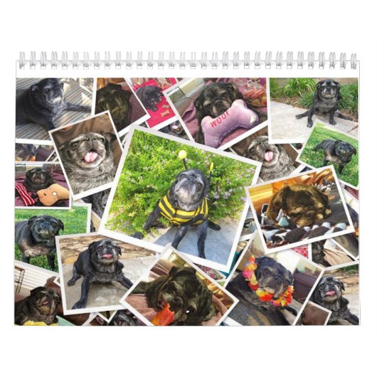 Bumblesnot 2014-agenda kalender (Hoes)