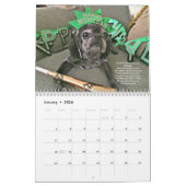Bumblesnot-agenda 2016 kalender (Jan 2026)