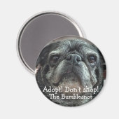 Bumblesnot aimant : Adoptez ! Ne faites pas les ma (Recto/Verso)