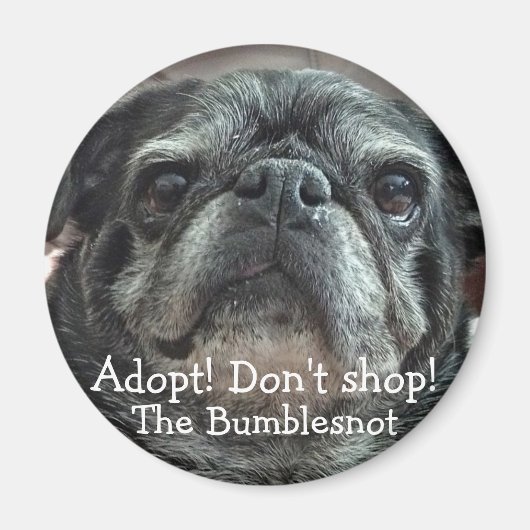 Bumblesnot aimant : Adoptez ! Ne faites pas les ma (Devant)