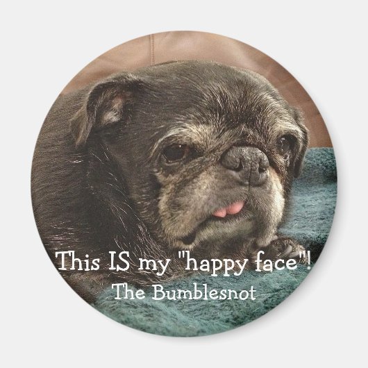 Bumblesnot aimant : C'EST mon "visage heureux" ! (Devant)