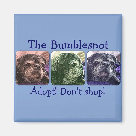 Bumblesnot aimant : Color Me Bumble (Devant)