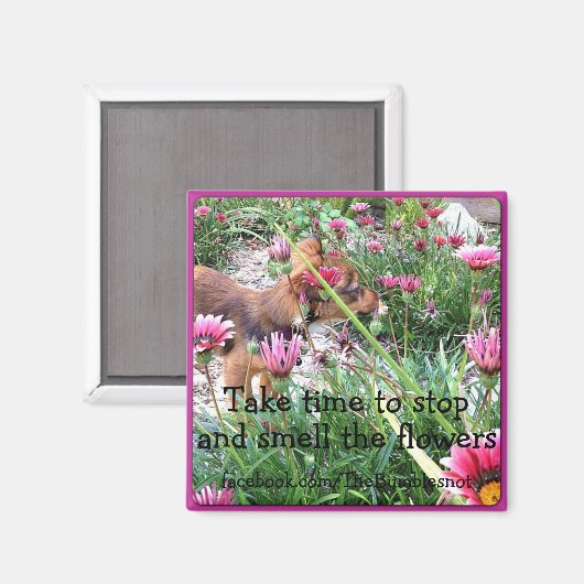 Bumblesnot aimant : Le Wee One/Sent les fleurs (Recto/Verso)