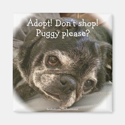 Bumblesnot aimant : Puggy S'il vous plaît ? (Devant)