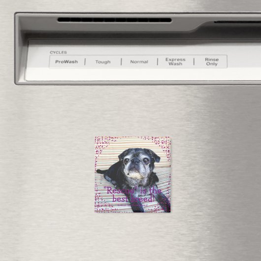 Bumblesnot aimant : "Secourt" est la meilleure rac (In Situ (Lave-vaisselle))