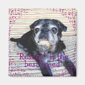 Bumblesnot aimant : "Secourt" est la meilleure rac (Devant)