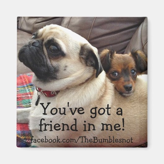 Bumblesnot aimant : Vous avez un ami en moi ! (Devant)